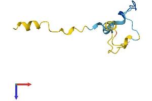 AlphaFold protein structure predicition of Human Recombinant CDC42SE1 Protein, UniprotID Q9NRR8
