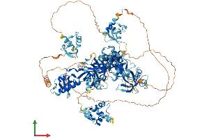 AlphaFold protein structure predicition of Mouse Recombinant Tdrd7 Protein, UniprotID Q8K1H1