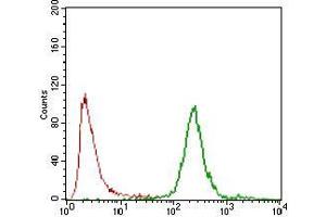 Flow cytometric analysis of NTERA-2 cells using CA9 mouse mAb (green) and negative control (red).