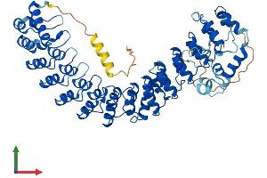 AlphaFold protein structure predicition of Mouse Recombinant Asb15 Protein, UniprotID Q8VHS6