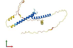 AlphaFold protein structure predicition of Human Recombinant BHLHE23 Protein, UniprotID Q8NDY6