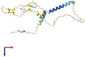 AlphaFold protein structure predicition of Mouse Recombinant Tp53inp2 Protein, UniprotID Q8CFU8