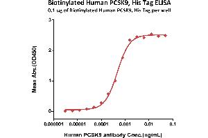Immobilized Biotinylated Human PCSK9, Avitag,His Tag (ABIN2444172,ABIN2444171) can bind PCSK9 Mab, Human IgG with a linear range of 0. (PCSK9 Protein (AA 31-692) (His tag,AVI tag,Biotin))