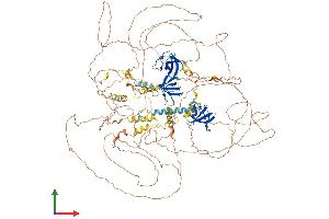 AlphaFold protein structure predicition of Mouse Recombinant Sorbs2 Protein, UniprotID Q3UTJ2