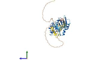 AlphaFold protein structure predicition of Mouse Recombinant Ssb Protein, UniprotID P32067