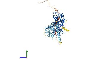 AlphaFold protein structure predicition of Human Recombinant SCNN1G Protein, UniprotID P51170