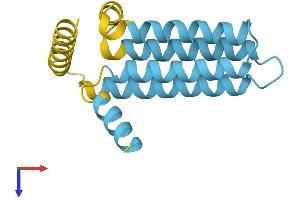 AlphaFold protein structure predicition of Human Recombinant SFT2D1 Protein, UniprotID Q8WV19