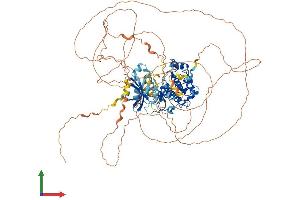 AlphaFold protein structure predicition of Human Recombinant MASTL Protein, UniprotID Q96GX5
