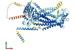 AlphaFold protein structure predicition of Human Recombinant ANO5 Protein, UniprotID Q75V66