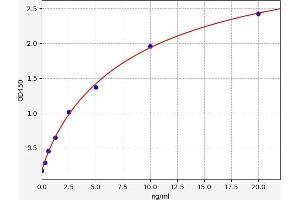 Typical standard curve (ABCC1 Kit ELISA)