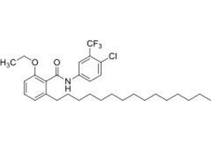Molecule (M) image for CTPB (ABIN7233245)