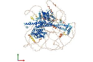 AlphaFold protein structure predicition of Mouse Recombinant Gapvd1 Protein, UniprotID Q6PAR5