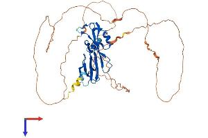 AlphaFold protein structure predicition of Human Recombinant GCM1 Protein, UniprotID Q9NP62