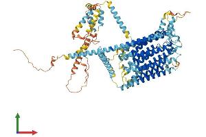 AlphaFold protein structure predicition of Mouse Recombinant Tmc6 Protein, UniprotID Q7TN60