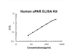 Human uPAR PicoKine ELISA Kit standard curve (PLAUR Kit ELISA)