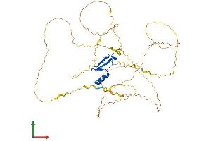 AlphaFold protein structure predicition of Mouse Recombinant Mecp2 Protein, UniprotID Q9Z2D6