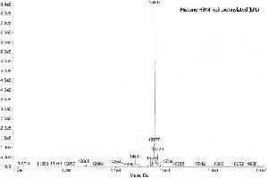 Mass Spectrometry (MS) image for Histone H3.2 (biotinylated), (full length), (N-Term), (truncated) protein (ABIN2669570) (Histone H3.2 (biotinylated), (full length), (N-Term), (truncated) Protéine)