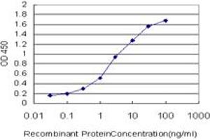 Detection limit for recombinant GST tagged JAG2 is approximately 0. (JAG2 anticorps  (AA 121-210))