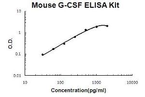 Mouse G-CSF PicoKine ELISA Kit standard curve (G-CSF Kit ELISA)