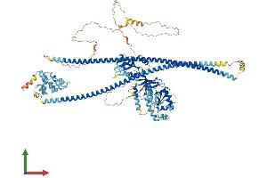 AlphaFold protein structure predicition of Mouse Recombinant Card14 Protein, UniprotID Q99KF0