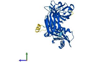 AlphaFold protein structure predicition of Mouse Recombinant Ap3m1 Protein, UniprotID Q9JKC8