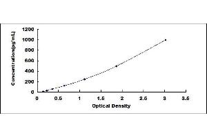 Typical standard curve (IL-17 Kit ELISA)