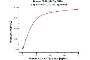 Immobilized Human CD58, His Tag (ABIN2180814,ABIN2180813) at 10 μg/mL (100 μL/well) can bind Human CD2, Fc Tag (ABIN6950958,ABIN6952275) with a linear range of 5-78 ng/mL (QC tested).