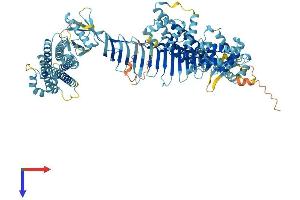 AlphaFold protein structure predicition of Human Recombinant ALS2CL Protein, UniprotID Q60I27