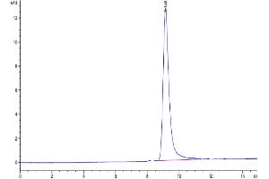 The purity of Cynomolgus IL-5 is greater than 95 % as determined by SEC-HPLC.