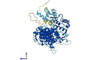 AlphaFold protein structure predicition of Human Recombinant PLS3 Protein, UniprotID P13797