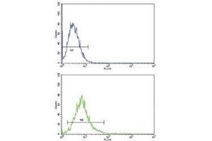 ATF6 antibody flow cytometric analysis of K562 cells (bottom histogram) compared to a negative control (top histogram).
