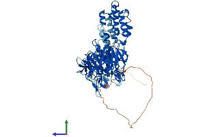 AlphaFold protein structure predicition of Human Recombinant KLHL14 Protein, UniprotID Q9P2G3
