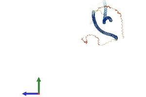 AlphaFold protein structure predicition of Human Recombinant KRT86 Protein, UniprotID O43790