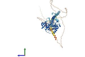 AlphaFold protein structure predicition of Mouse Recombinant Map3k7 Protein, UniprotID Q62073