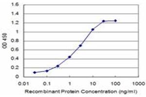Detection limit for recombinant GST tagged DDX56 is approximately 0. (DDX56 anticorps  (AA 450-547))