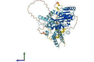 AlphaFold protein structure predicition of Human Recombinant TIGD2 Protein, UniprotID Q4W5G0
