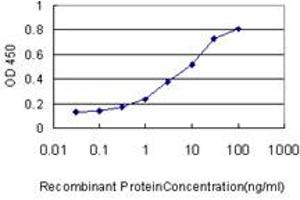 Detection limit for recombinant GST tagged SPRED2 is approximately 1ng/ml as a capture antibody. (SPRED2 anticorps  (AA 120-219))