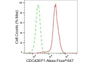 Flow cytometric analysis of CDC42EP1 expression in HeLa cells using CDC42EP1 antibody (ABIN7797992), 1:2,000).