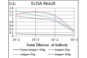 Black line: Control Antigen (100 ng), Purple line: Antigen(10 ng), Blue line: Antigen (50 ng), Red line: Antigen (100 ng), (ITGB1 anticorps)