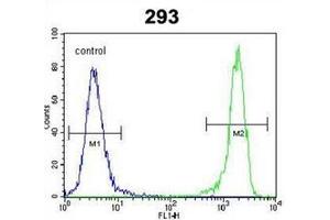 Flow Cytometric analysis of 293 cells using DIT3 Antibody (C-term) Cat. (DDIT3 anticorps  (C-Term))