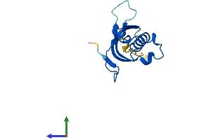 AlphaFold protein structure predicition of Mouse Recombinant Rpl31 Protein, UniprotID P62900