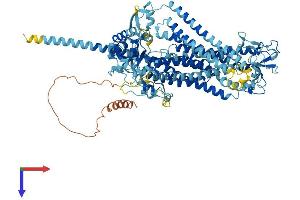 AlphaFold protein structure predicition of Mouse Recombinant Ano5 Protein, UniprotID Q75UR0