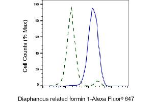 Validation of Diaphanous related formin 1 knockdown using flow cytometry. (Recombinant DIAPH1 anticorps)