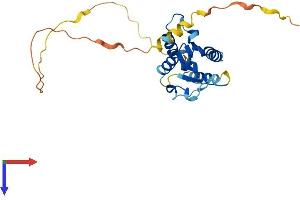 AlphaFold protein structure predicition of Mouse Recombinant Tirap Protein, UniprotID Q99JY1