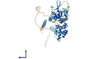 AlphaFold protein structure predicition of Human Recombinant MICU1 Protein, UniprotID Q9BPX6