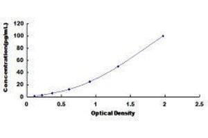 Bridging Integrator 1 (BIN1) ELISA Kit
