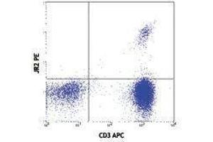 Flow Cytometry (FACS) image for anti-Vbeta 8 TCR antibody (PE) (ABIN2663919) (Vbeta 8 TCR anticorps (PE))