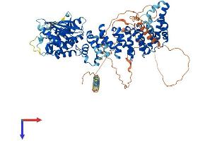 AlphaFold protein structure predicition of Mouse Recombinant Scyl1 Protein, UniprotID Q9EQC5