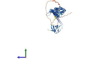 AlphaFold protein structure predicition of Mouse Recombinant Pacsin3 Protein, UniprotID Q99JB8