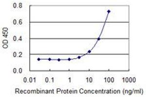 Detection limit for recombinant GST tagged MYLPF is 1 ng/ml as a capture antibody. (MYLPF anticorps  (AA 1-169))